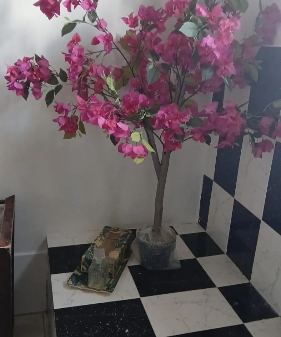 Mandeville Chateau Jamaica